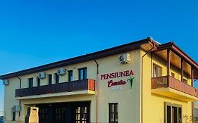 Pensiunea Camelia